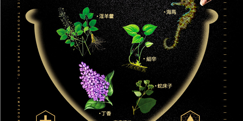 印度神油香港官網